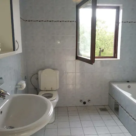 Olive Tree Apartment Split